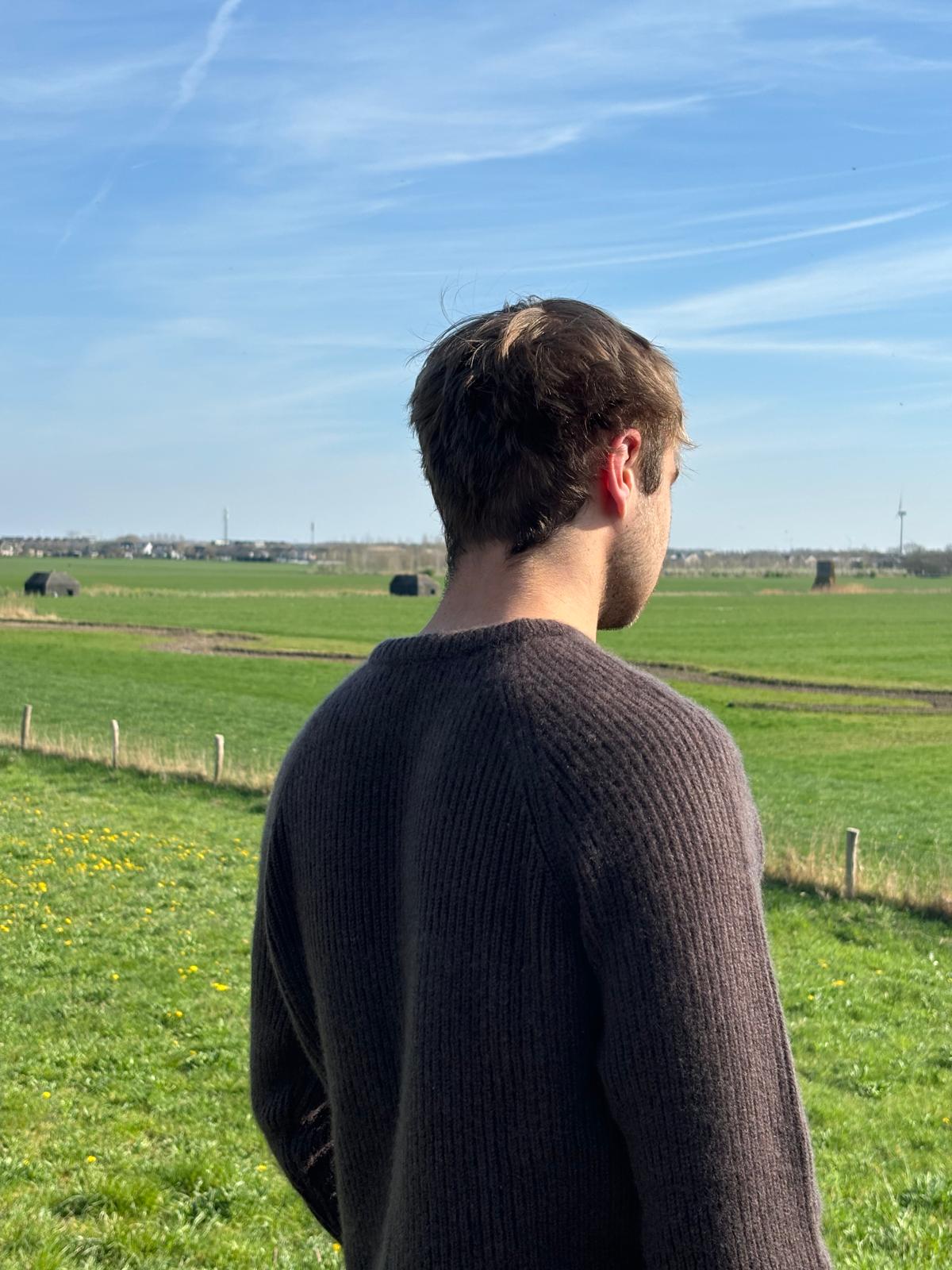 Cashmere sweater brown